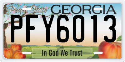 GA license plate PFY6013