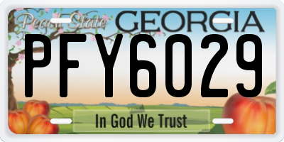 GA license plate PFY6029