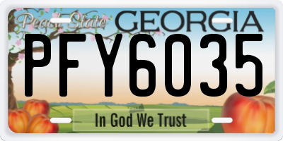 GA license plate PFY6035