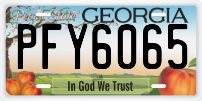 GA license plate PFY6065