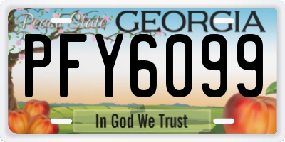 GA license plate PFY6099