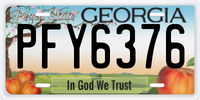 GA license plate PFY6376