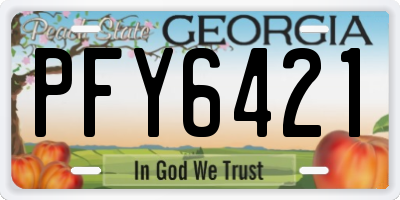 GA license plate PFY6421