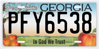 GA license plate PFY6538