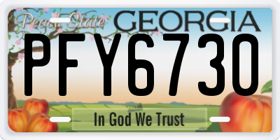 GA license plate PFY6730