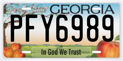 GA license plate PFY6989
