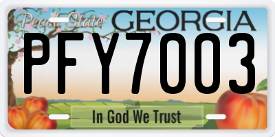 GA license plate PFY7003