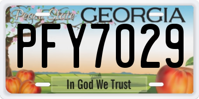GA license plate PFY7029