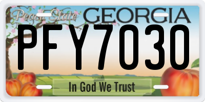 GA license plate PFY7030