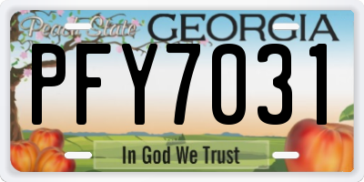 GA license plate PFY7031