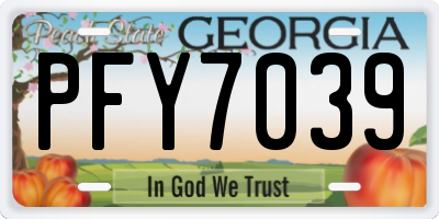 GA license plate PFY7039