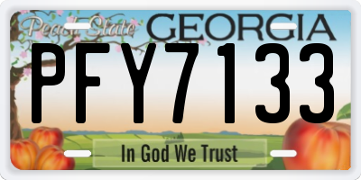 GA license plate PFY7133
