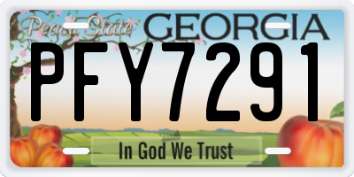 GA license plate PFY7291