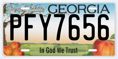 GA license plate PFY7656