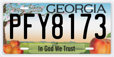 GA license plate PFY8173