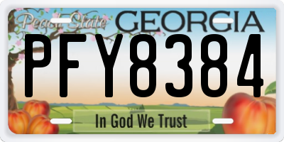GA license plate PFY8384