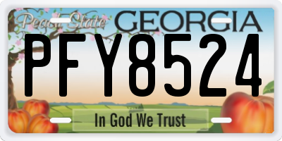 GA license plate PFY8524