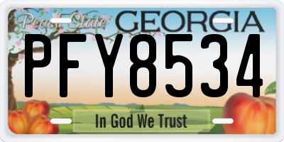 GA license plate PFY8534
