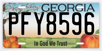 GA license plate PFY8596