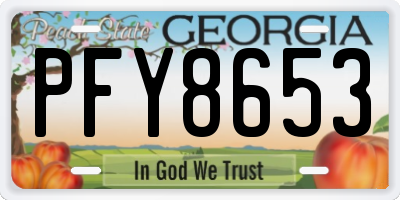 GA license plate PFY8653