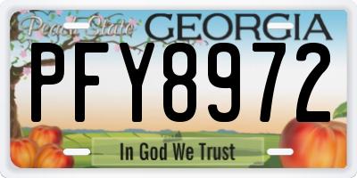 GA license plate PFY8972