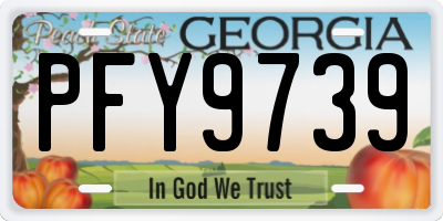 GA license plate PFY9739