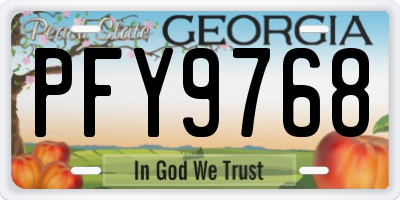 GA license plate PFY9768