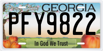 GA license plate PFY9822
