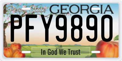 GA license plate PFY9890