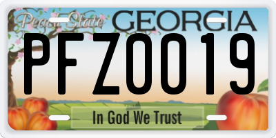 GA license plate PFZ0019