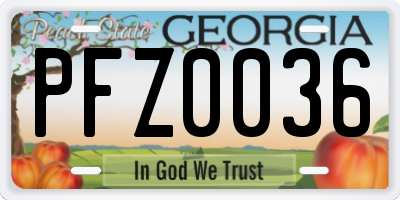 GA license plate PFZ0036