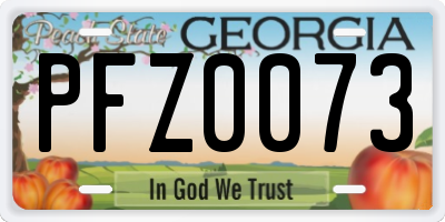 GA license plate PFZ0073