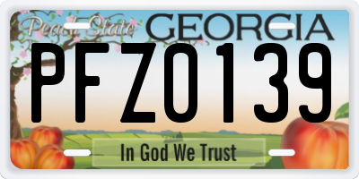 GA license plate PFZ0139