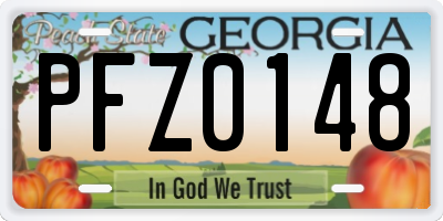 GA license plate PFZ0148