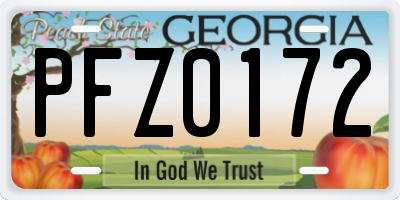 GA license plate PFZ0172