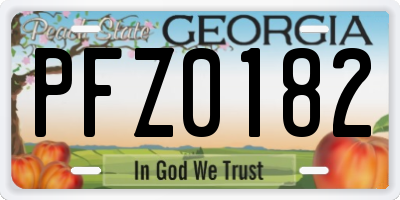 GA license plate PFZ0182