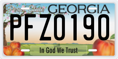 GA license plate PFZ0190