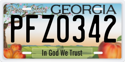 GA license plate PFZ0342