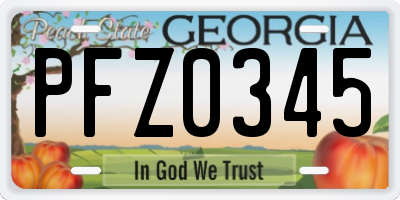GA license plate PFZ0345