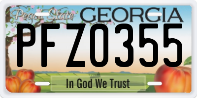 GA license plate PFZ0355