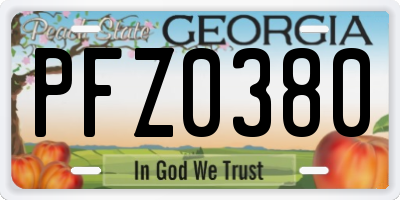 GA license plate PFZ0380