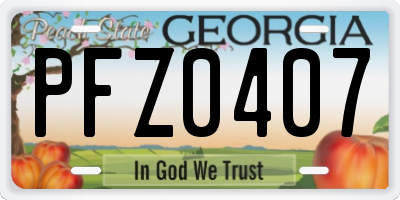 GA license plate PFZ0407