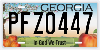 GA license plate PFZ0447