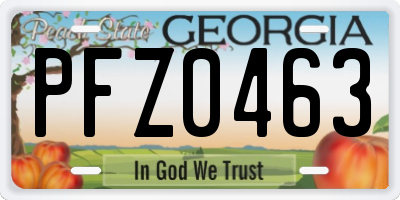 GA license plate PFZ0463