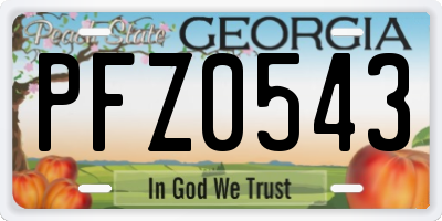 GA license plate PFZ0543