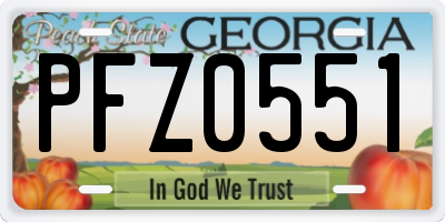 GA license plate PFZ0551