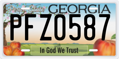GA license plate PFZ0587