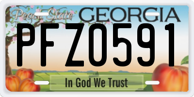 GA license plate PFZ0591