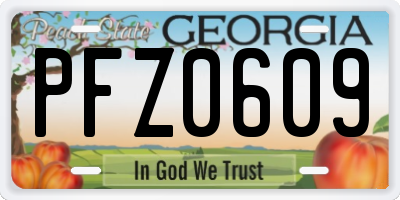 GA license plate PFZ0609
