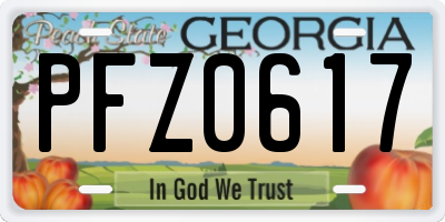 GA license plate PFZ0617